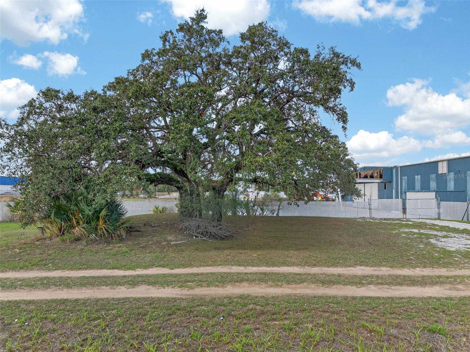 HWY 17 92 N, HAINES CITY, FL — photo 7