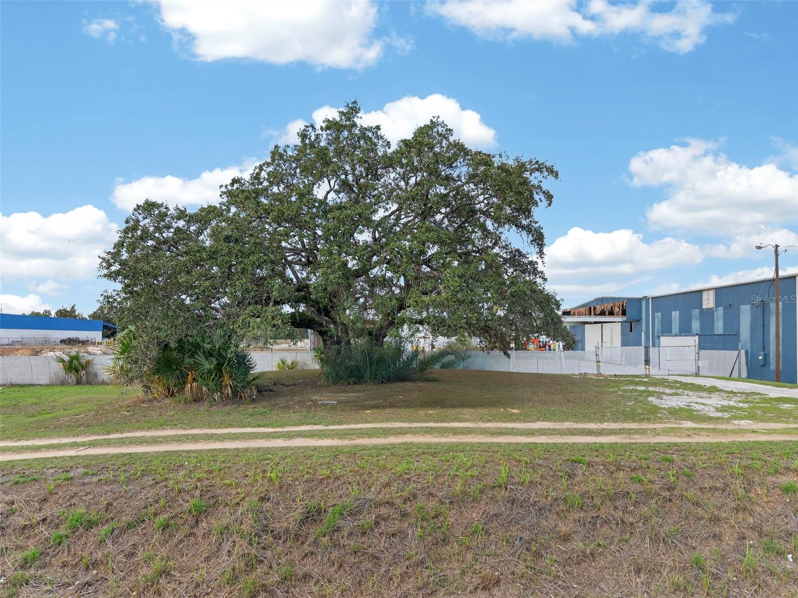 HWY 17 92 N, HAINES CITY, FL — photo 8