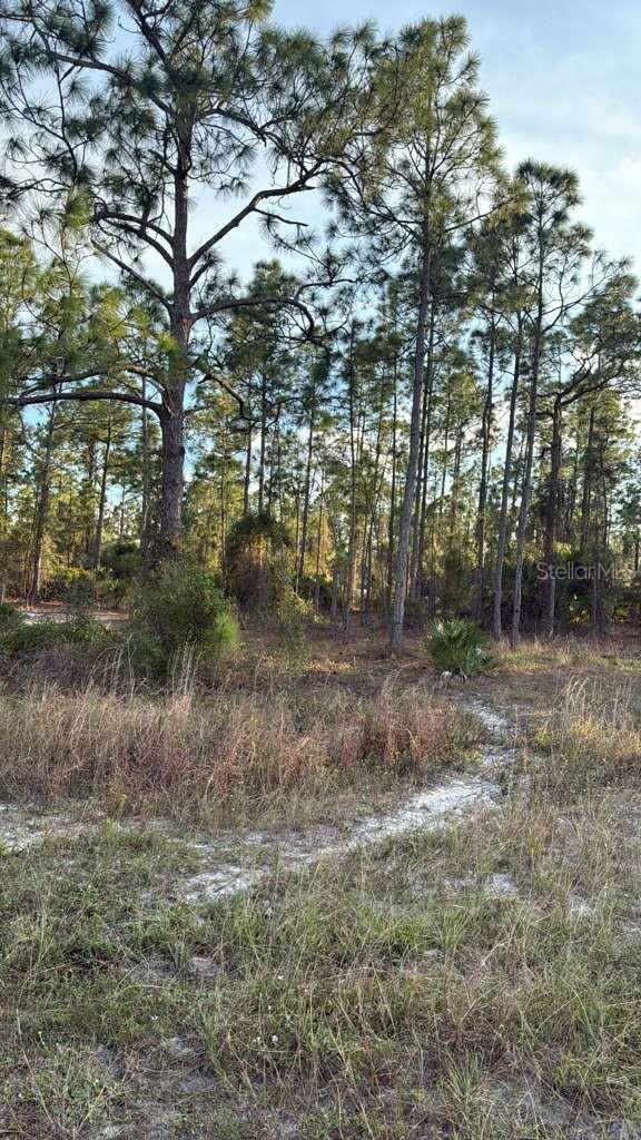 918 BELMONT ST E, LEHIGH ACRES, FL