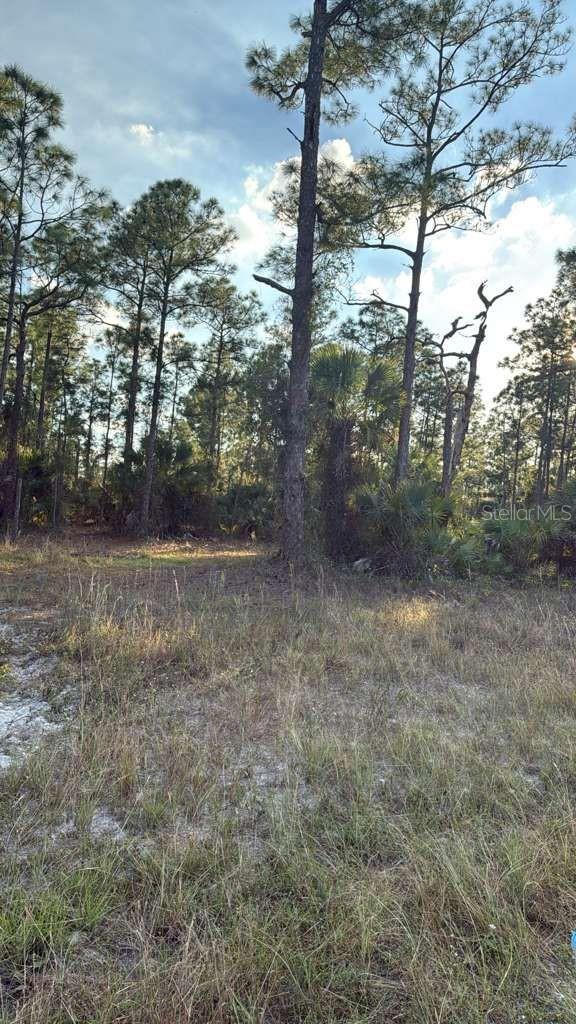 918 BELMONT ST E, LEHIGH ACRES, FL — photo 3