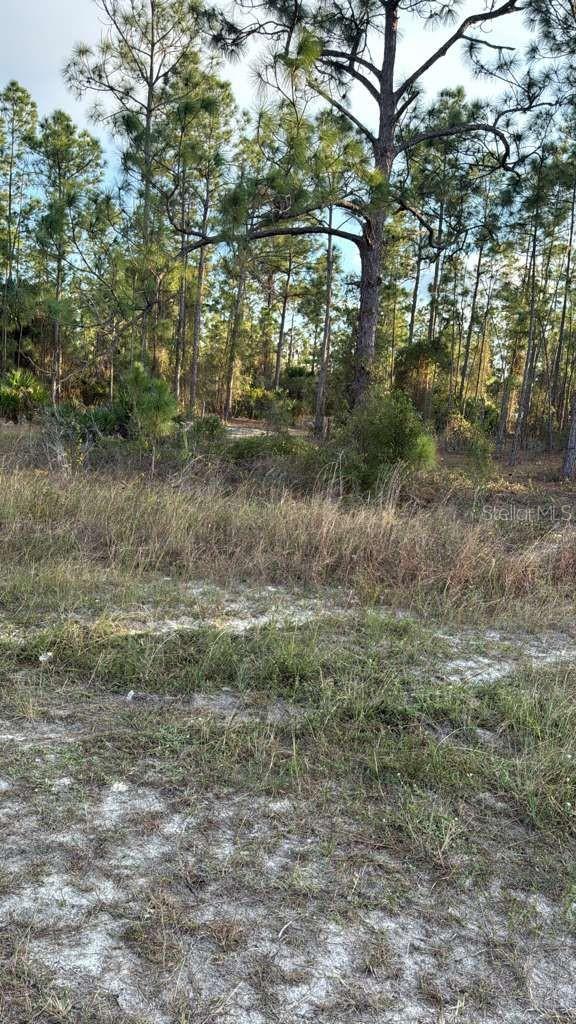 918 BELMONT ST E, LEHIGH ACRES, FL — photo 5
