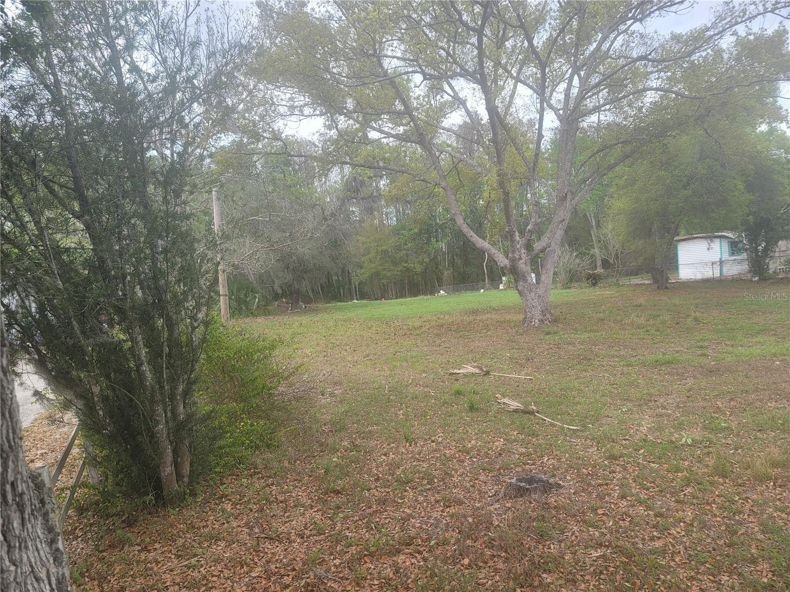 11641 BRUIN DR, NEW PORT RICHEY, FL — photo 5