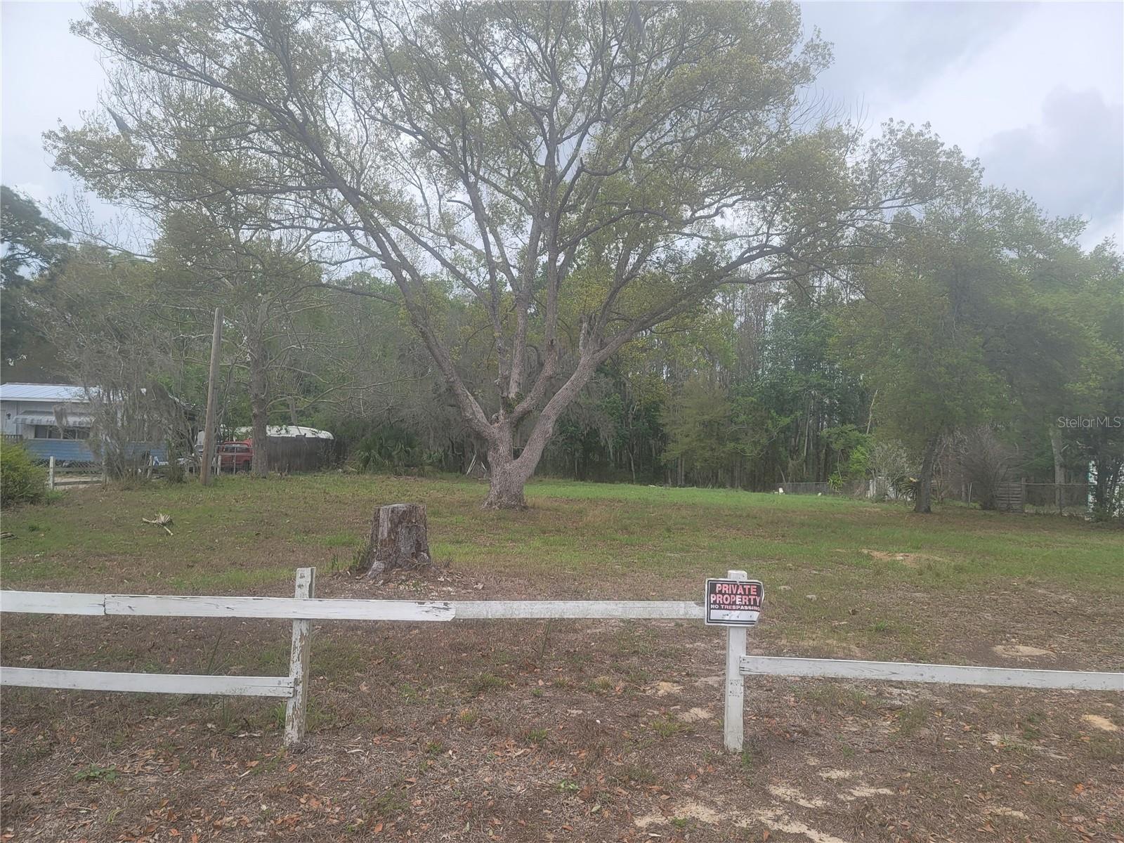 11641 BRUIN DR, NEW PORT RICHEY, FL — photo 8