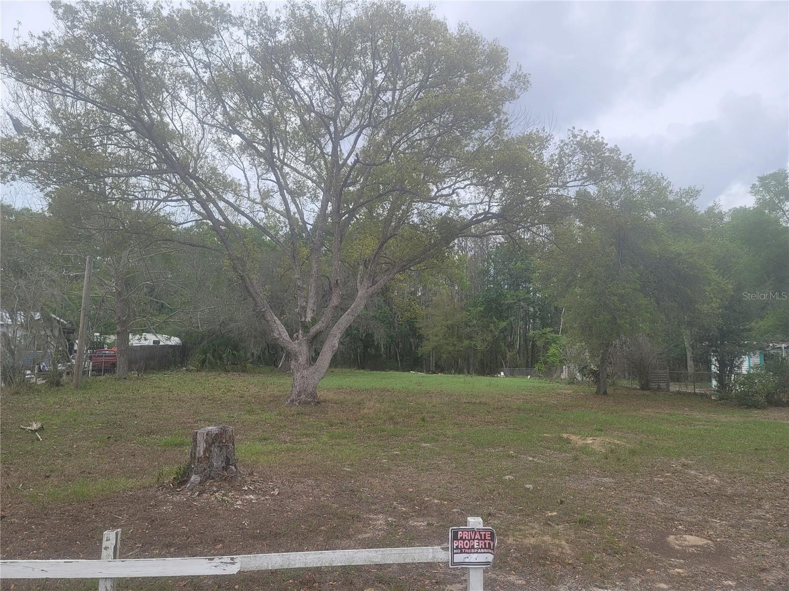 11641 BRUIN DR, NEW PORT RICHEY, FL — photo 9