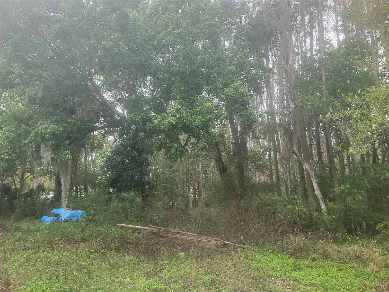 11641 BRUIN DR, NEW PORT RICHEY, FL — photo 16