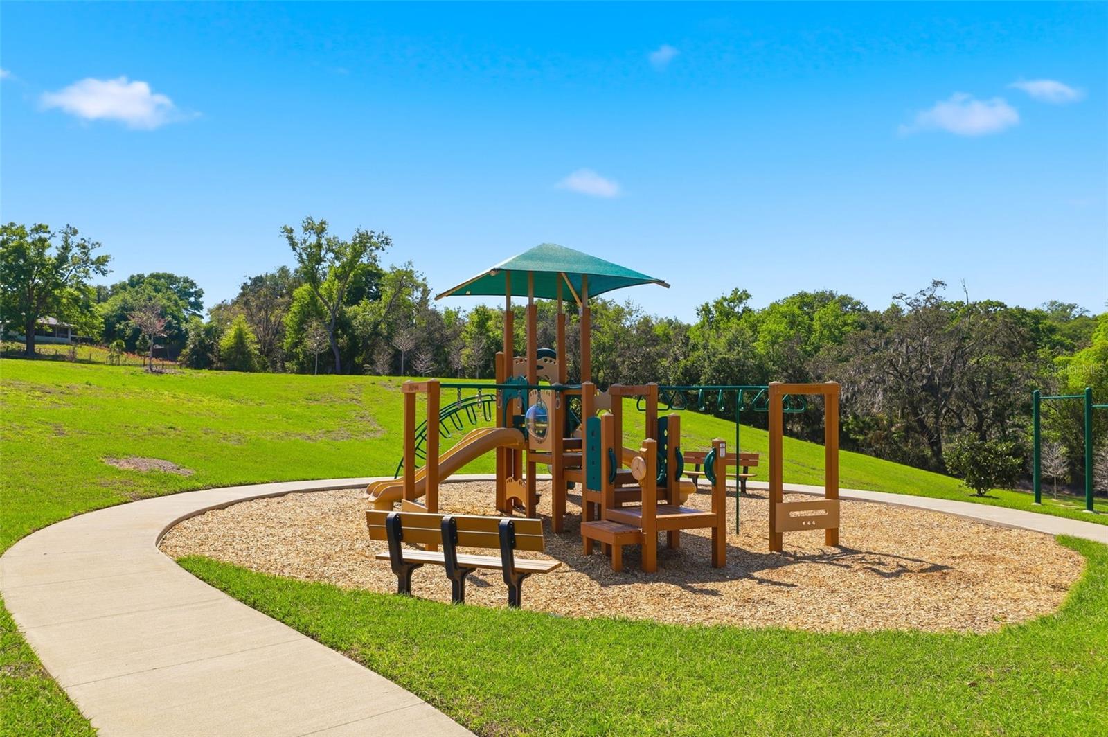 740 RIOJA DR, MINNEOLA, FL — photo 63