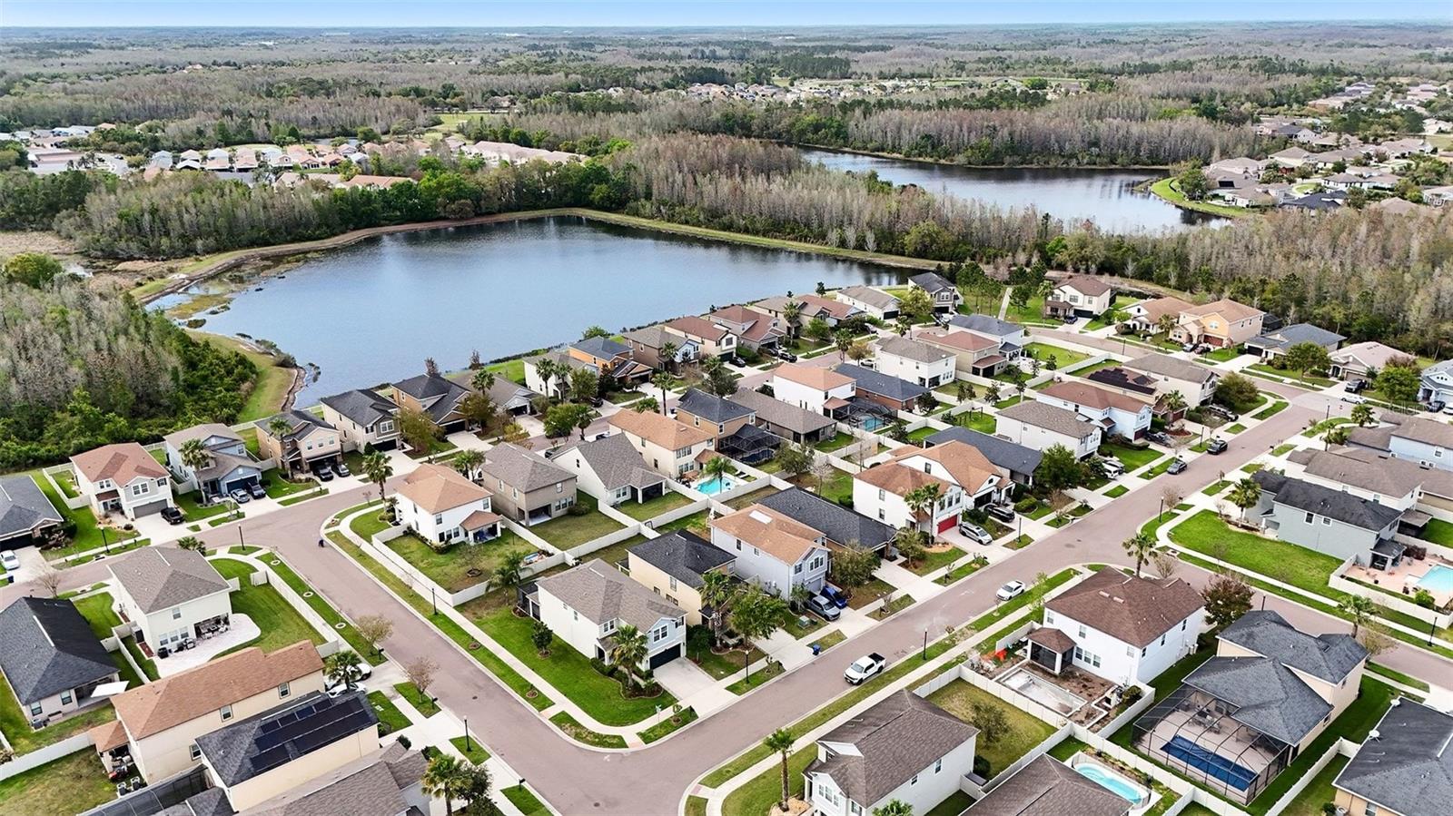 8165 FAIRE FROST LN, LAND O LAKES, FL — photo 41