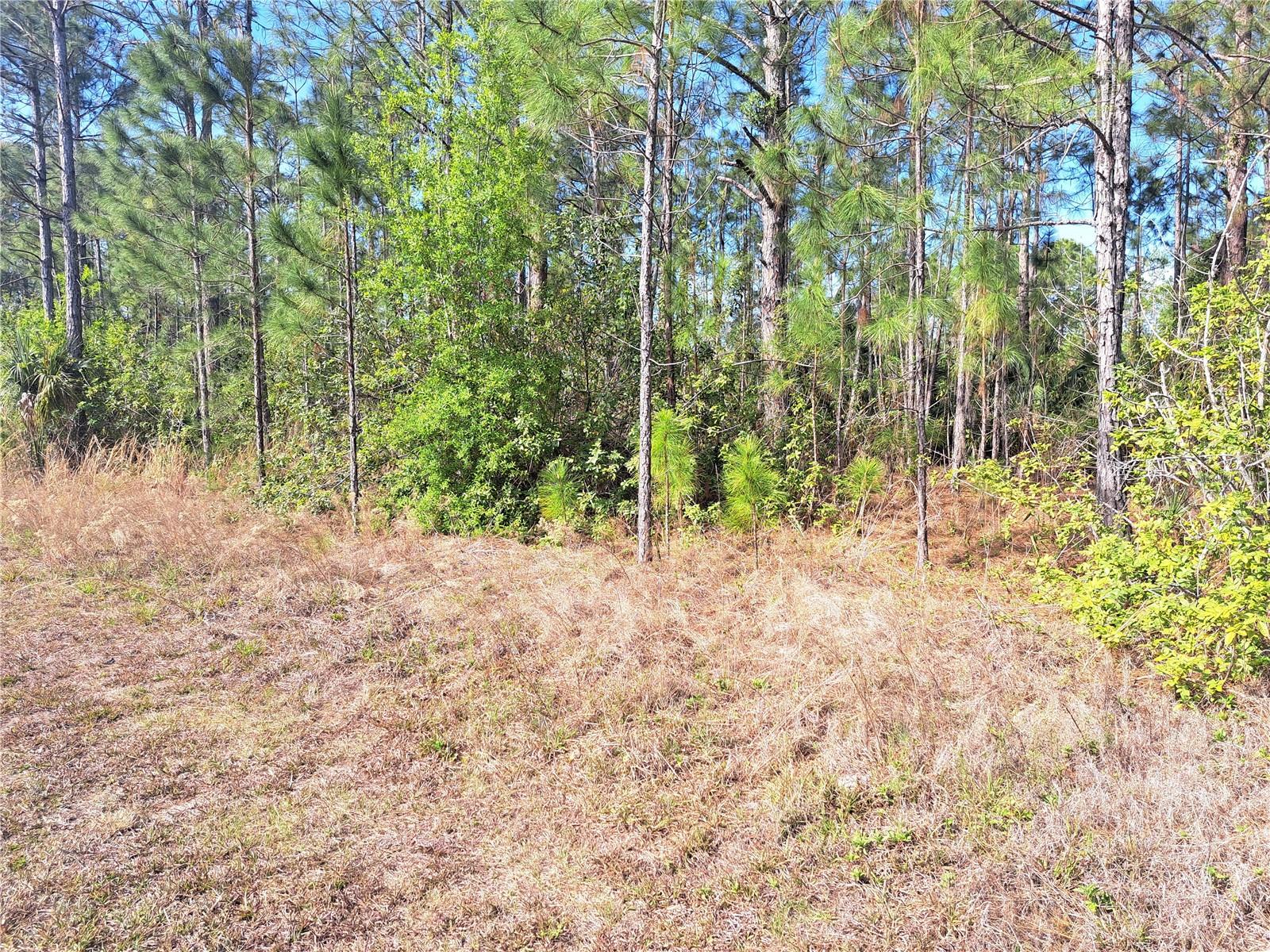 2 LAGUNA DR, INDIAN LAKE ESTATES, FL — photo 4