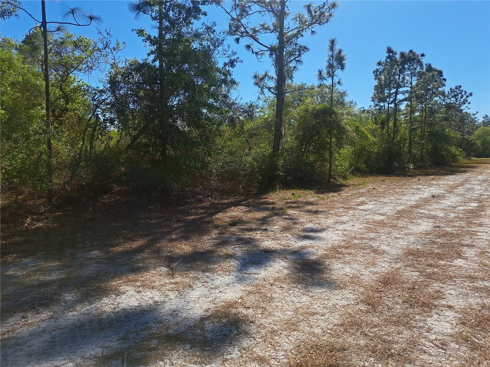 604 CAMELLIA DR, INDIAN LAKE ESTATES, FL — photo 5