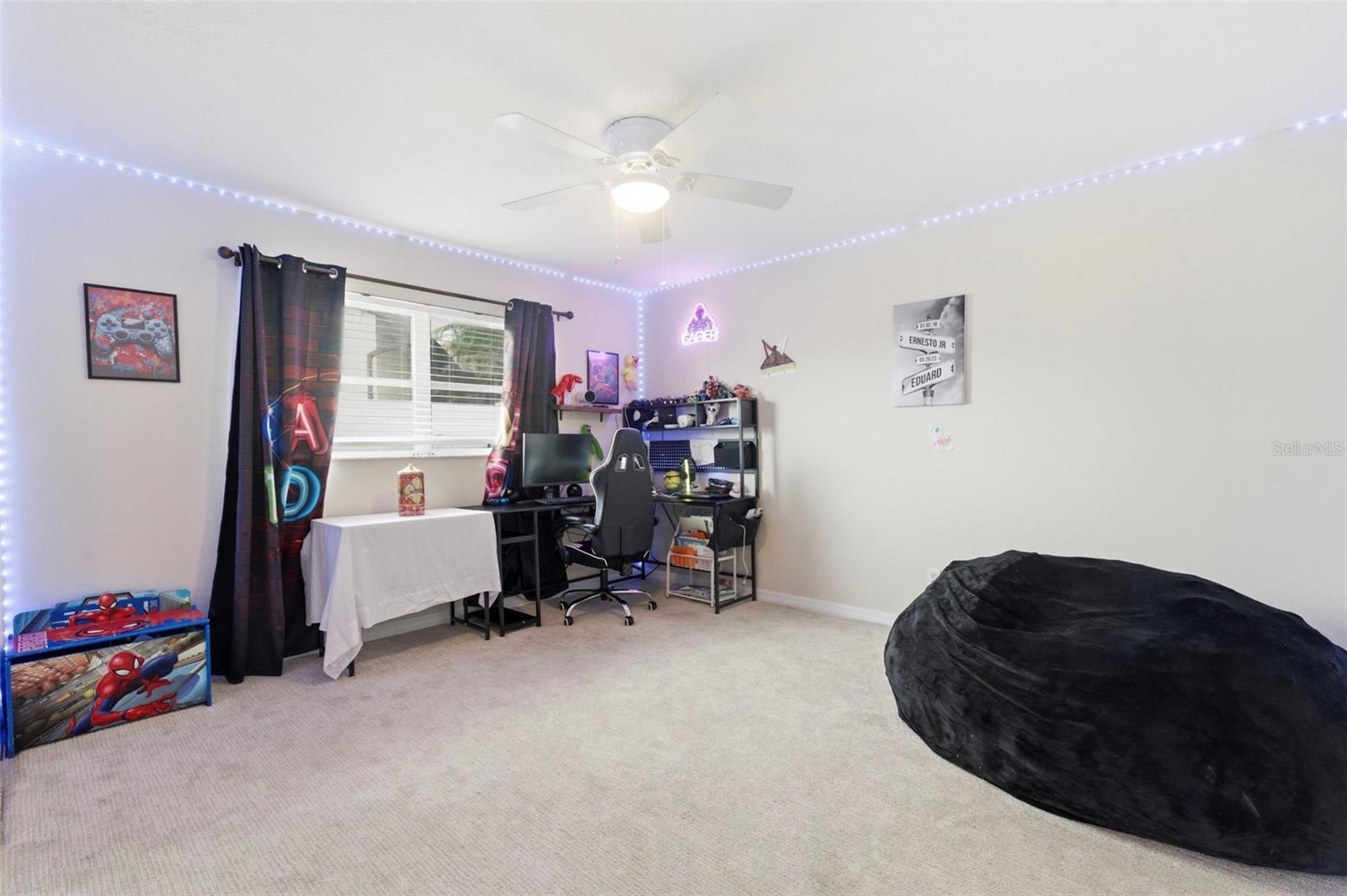 3022 JACKSON DR, HOLIDAY, FL — photo 32