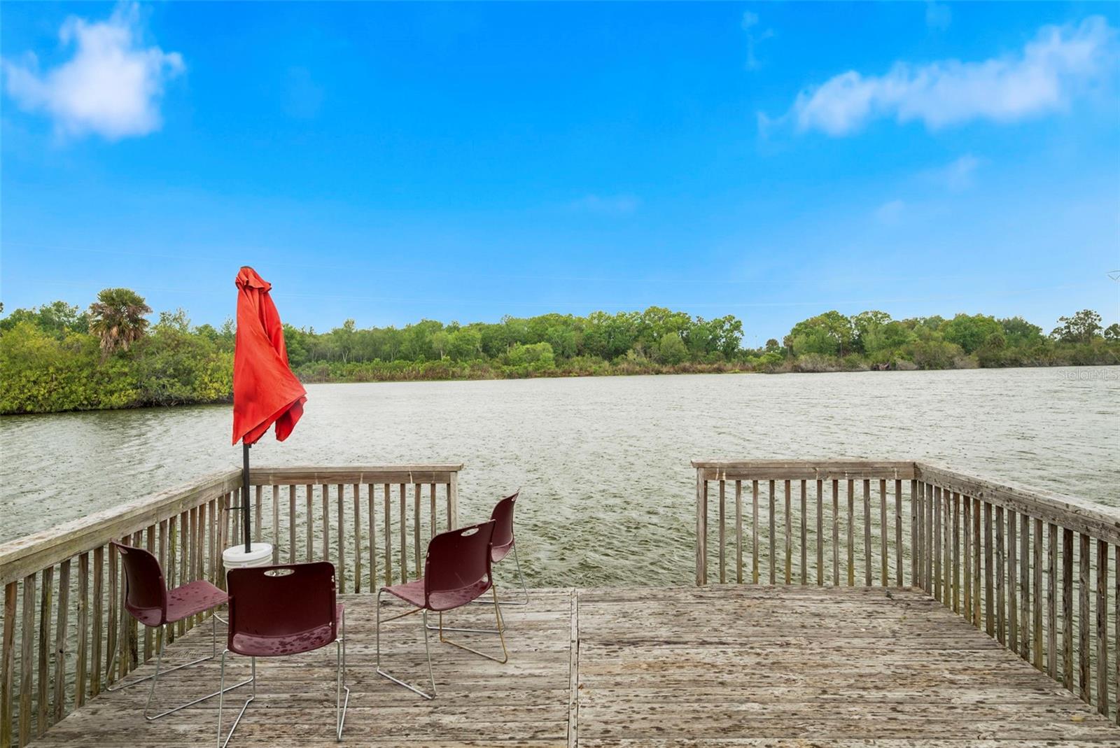 3022 JACKSON DR, HOLIDAY, FL — photo 61