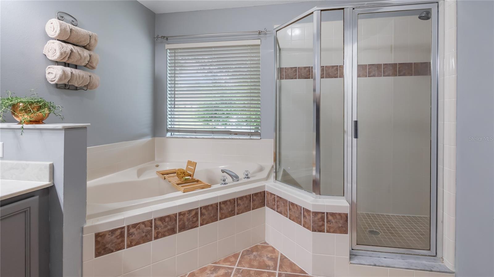 1195 BRENTWOOD DR, CLERMONT, FL — photo 55