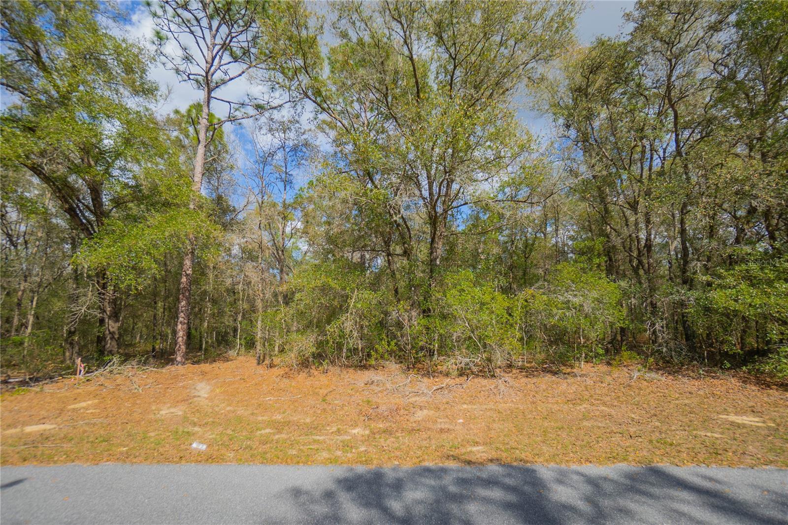 8743 N SANDREE DR, CITRUS SPRINGS, FL