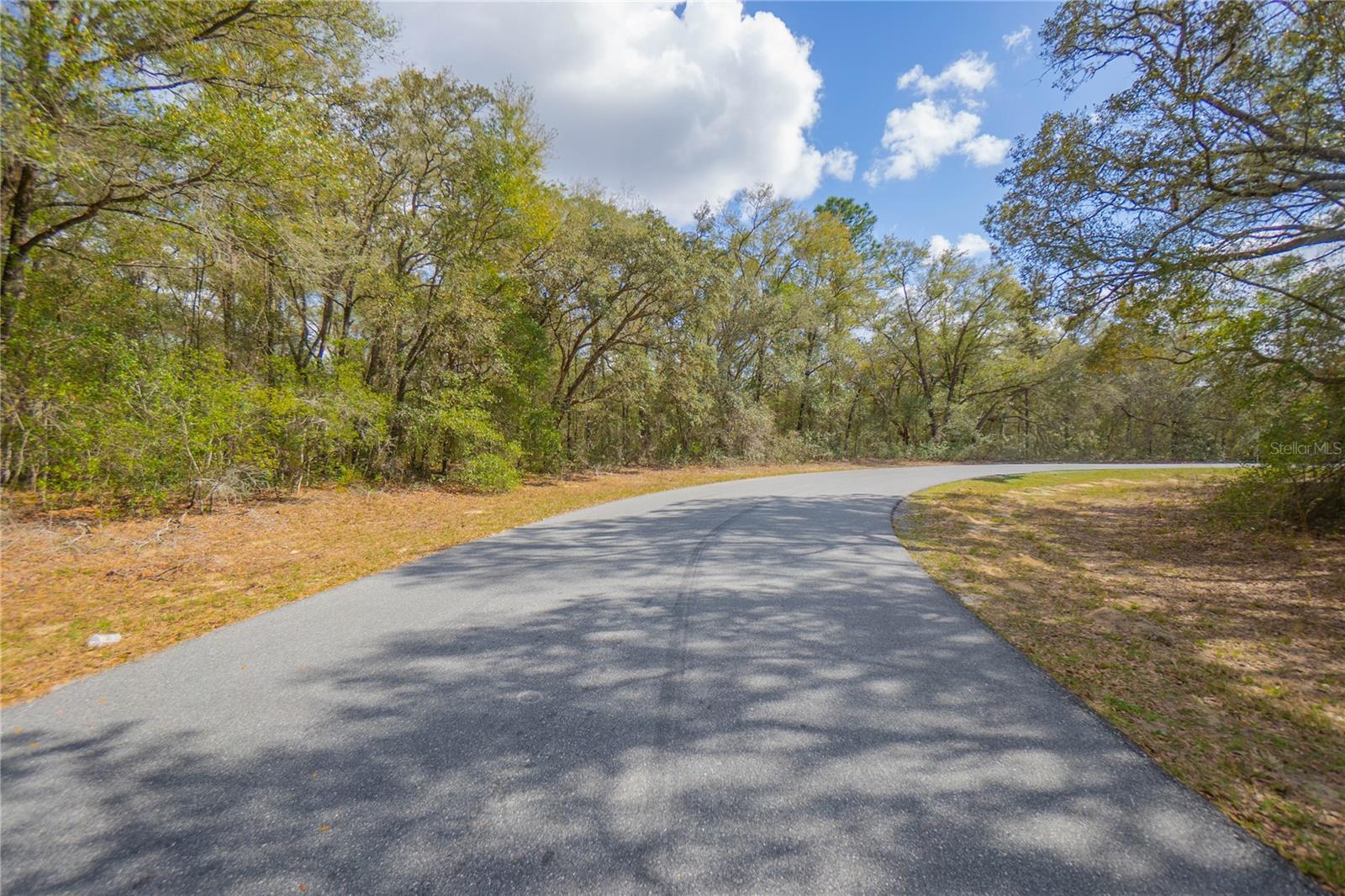 8743 N SANDREE DR, CITRUS SPRINGS, FL — photo 2