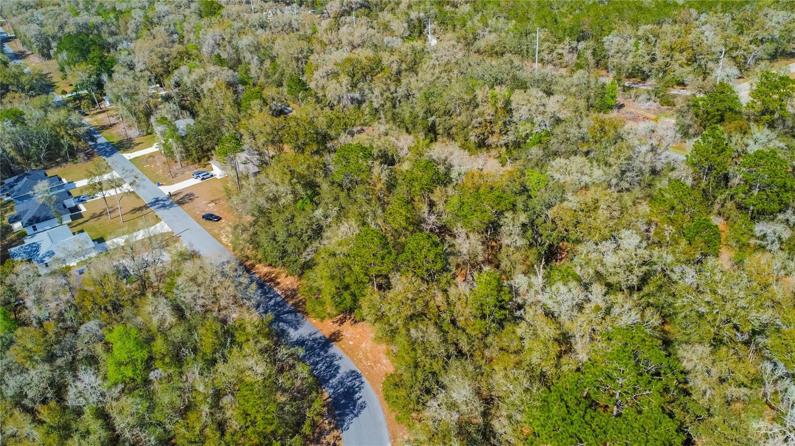8743 N SANDREE DR, CITRUS SPRINGS, FL — photo 4