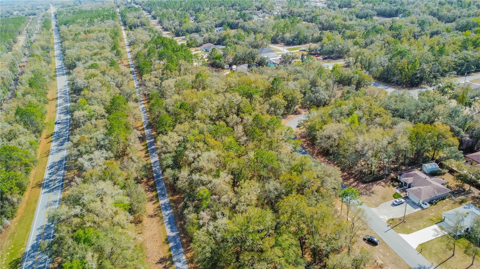 8743 N SANDREE DR, CITRUS SPRINGS, FL — photo 11