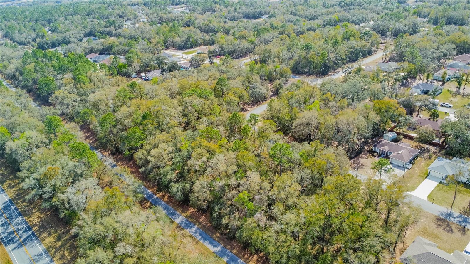 8743 N SANDREE DR, CITRUS SPRINGS, FL — photo 12