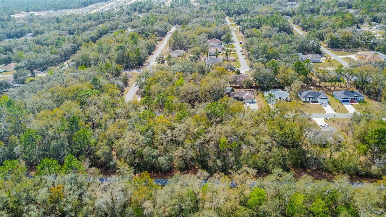 8743 N SANDREE DR, CITRUS SPRINGS, FL — photo 13