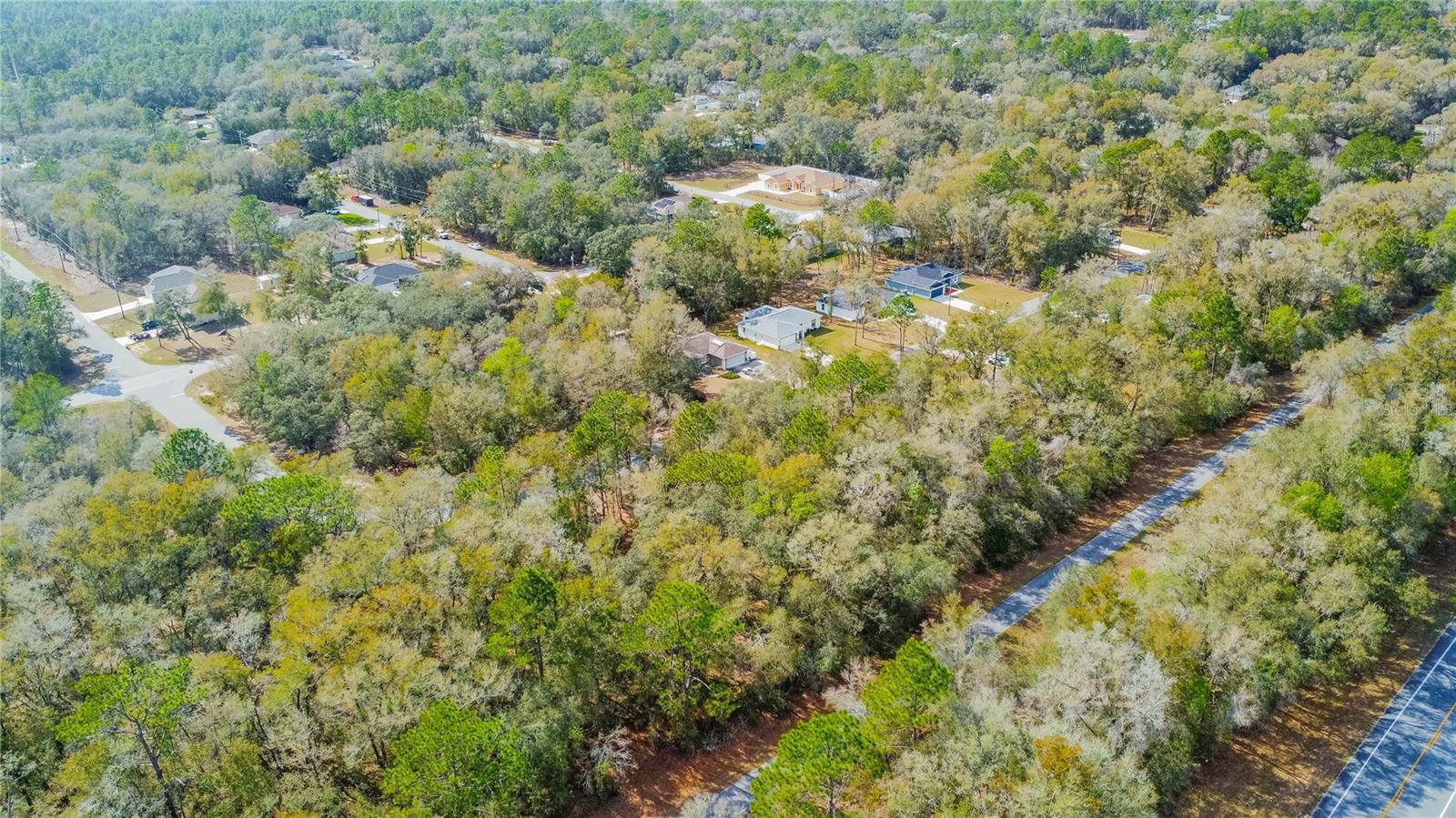 8743 N SANDREE DR, CITRUS SPRINGS, FL — photo 14
