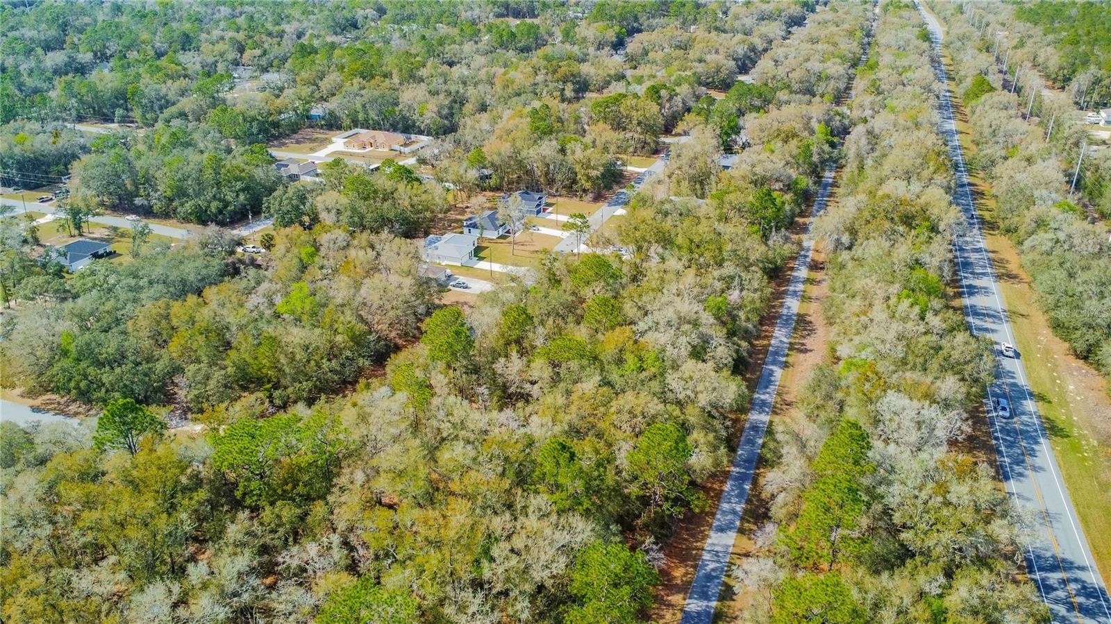 8743 N SANDREE DR, CITRUS SPRINGS, FL — photo 15