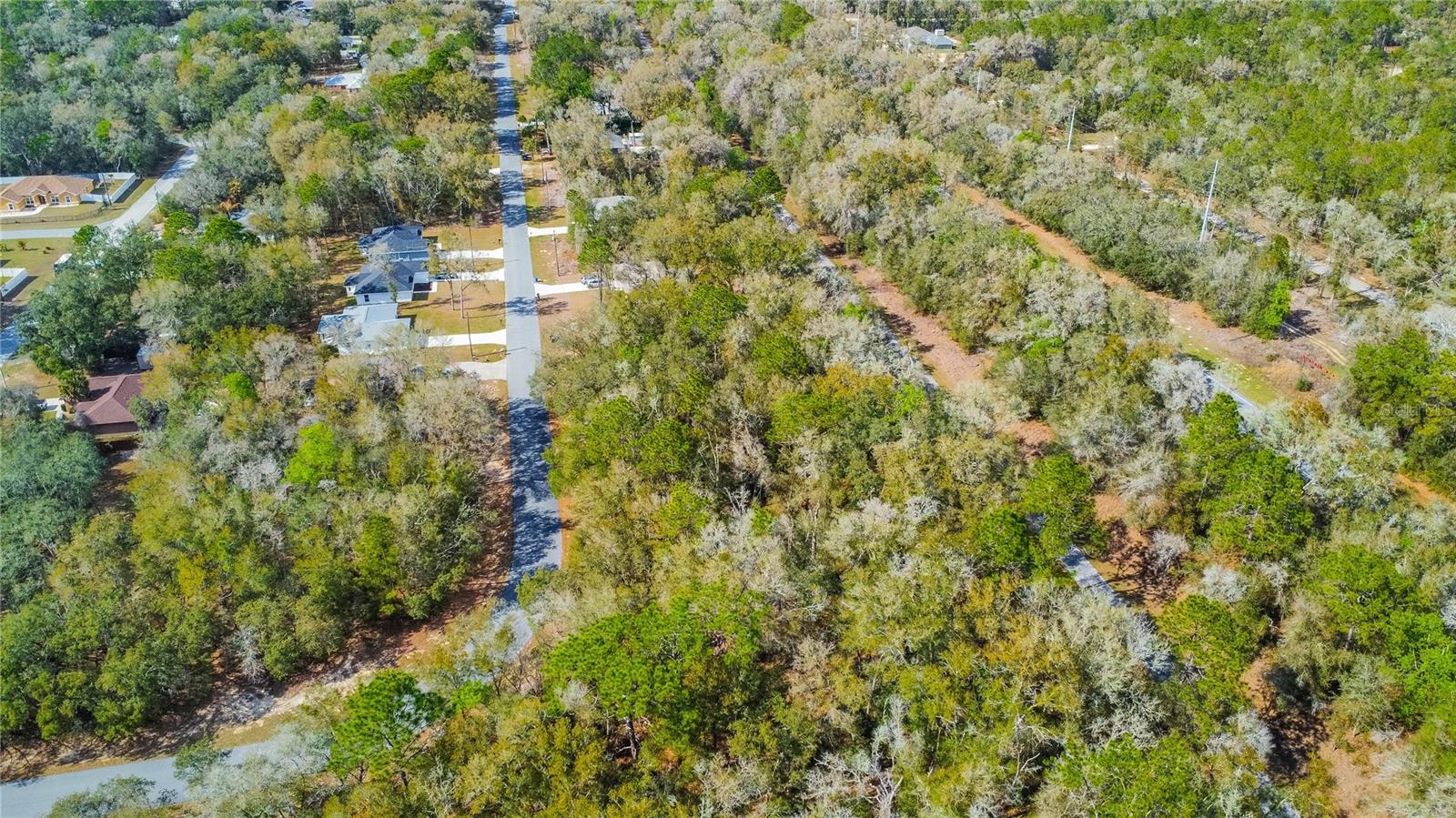 8743 N SANDREE DR, CITRUS SPRINGS, FL — photo 17