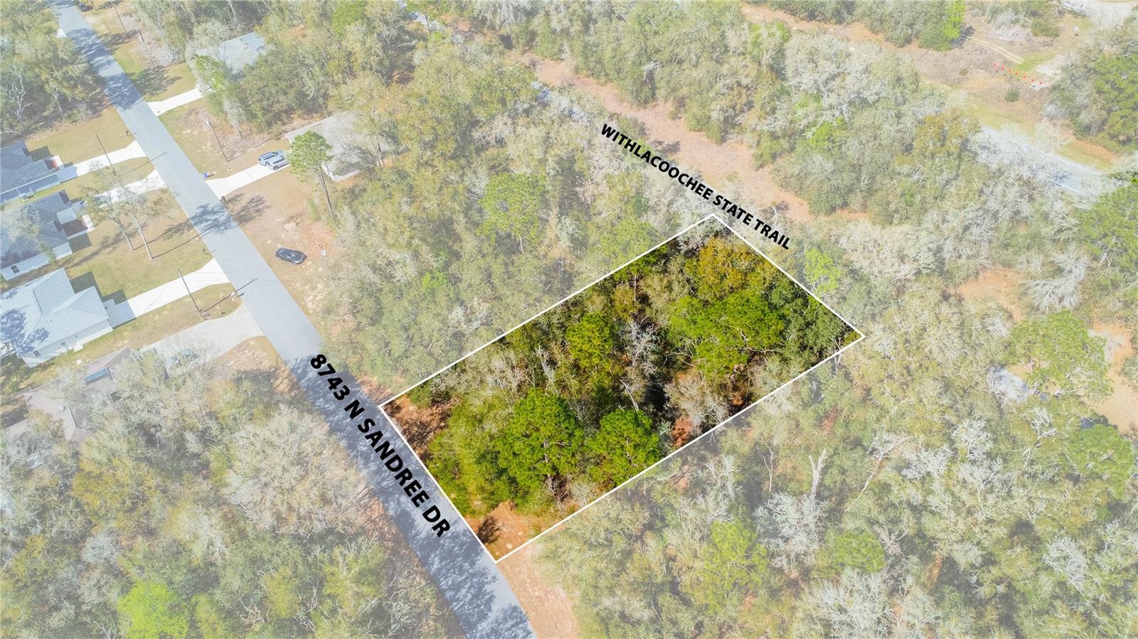 8743 N SANDREE DR, CITRUS SPRINGS, FL — photo 18