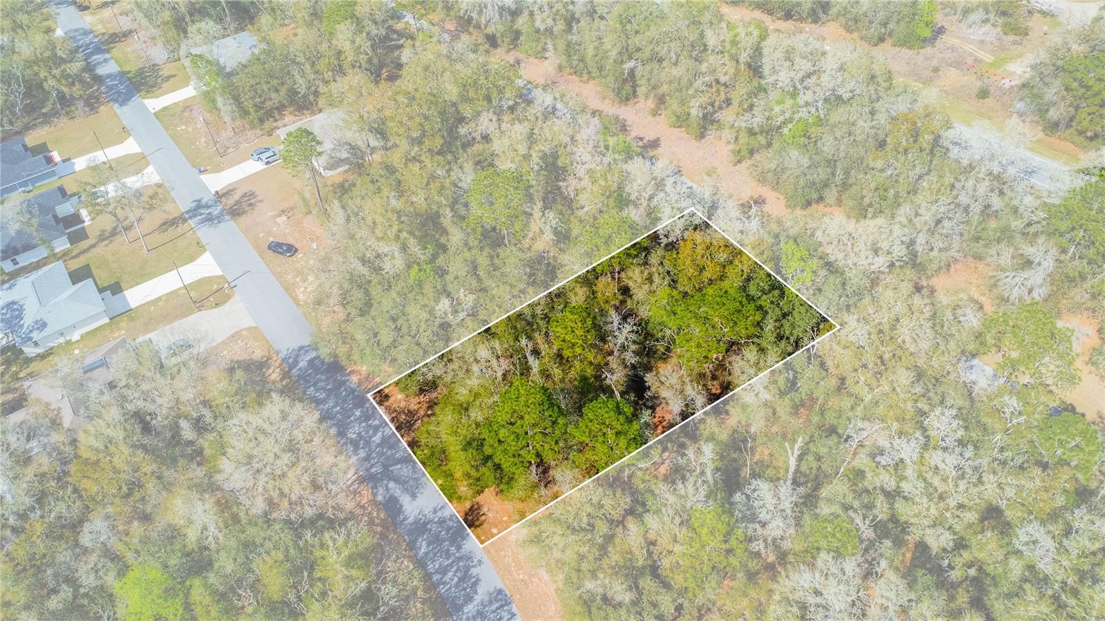 8743 N SANDREE DR, CITRUS SPRINGS, FL — photo 19
