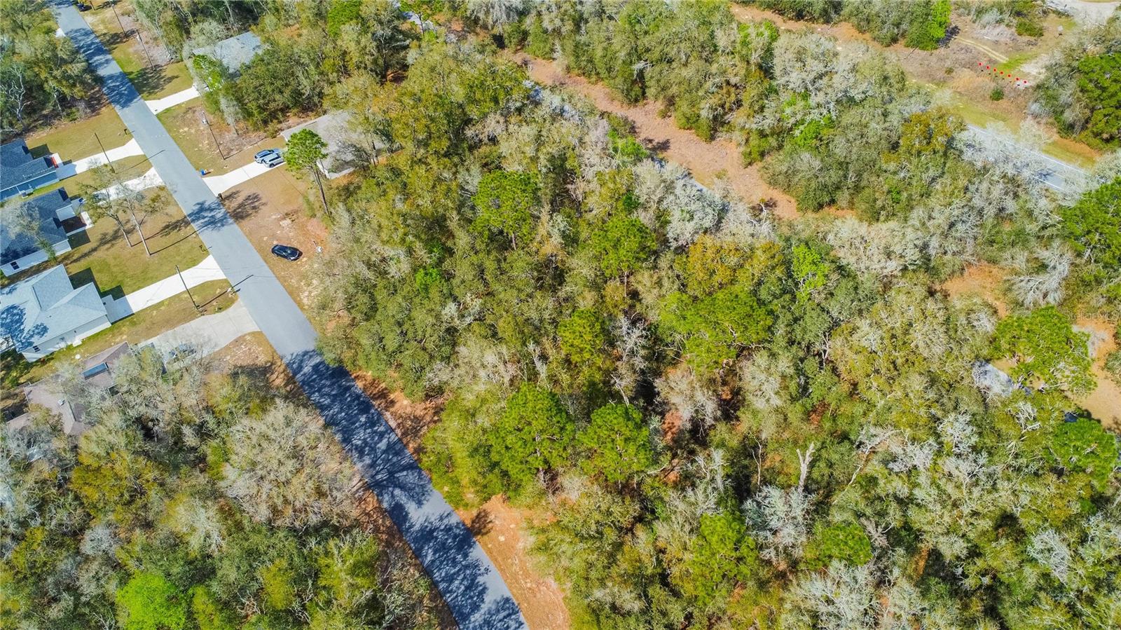 8743 N SANDREE DR, CITRUS SPRINGS, FL — photo 20
