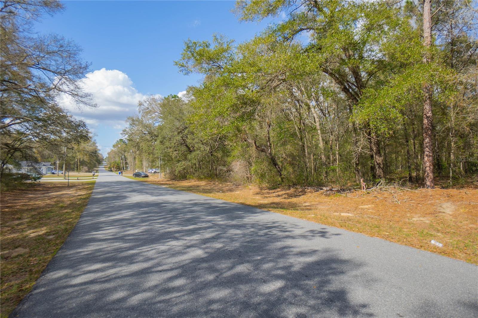 8743 N SANDREE DR, CITRUS SPRINGS, FL — photo 21