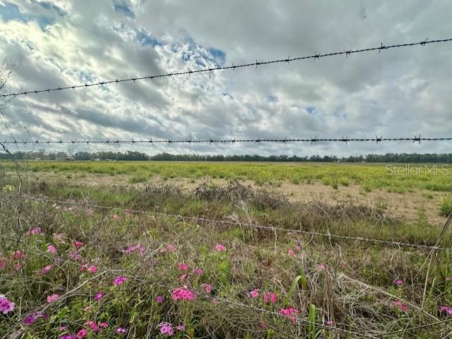 SW 80TH ST, TRENTON, FL