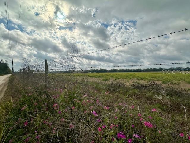 SW 80TH ST, TRENTON, FL — photo 2