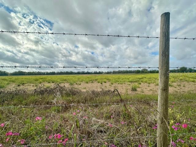 SW 80TH ST, TRENTON, FL — photo 3