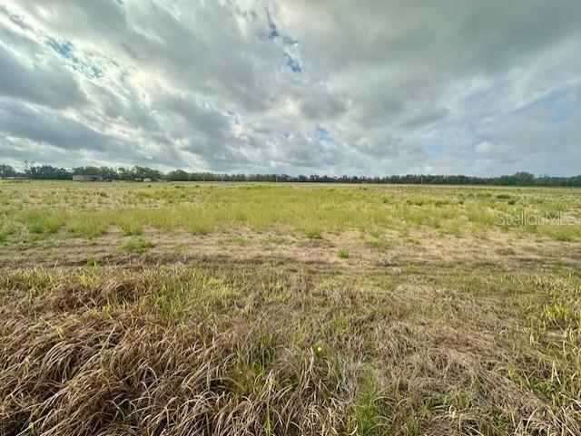 SW 80TH ST, TRENTON, FL — photo 4