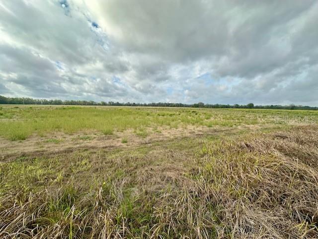 SW 80TH ST, TRENTON, FL — photo 5