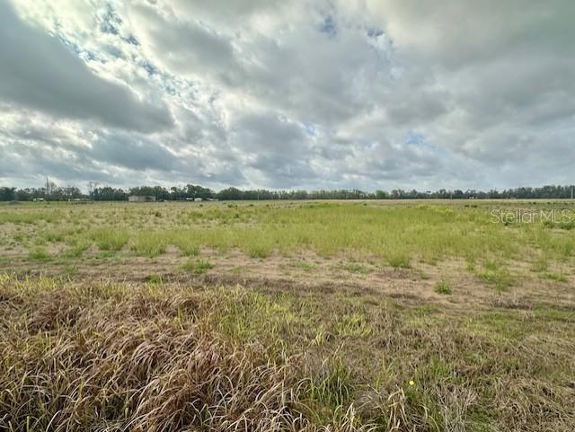 SW 80TH ST, TRENTON, FL — photo 6