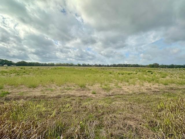 SW 80TH ST, TRENTON, FL — photo 7