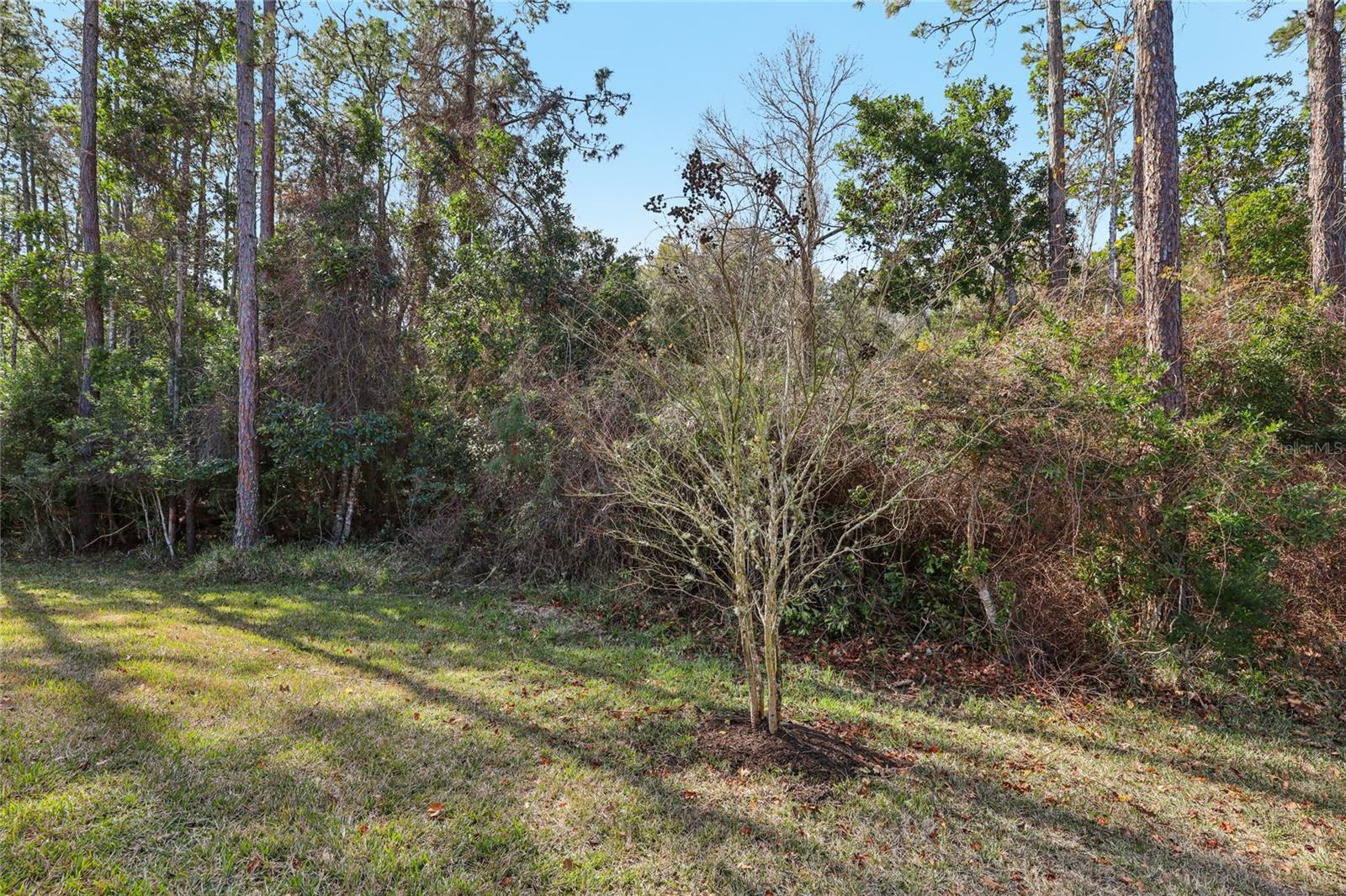 544 ENREDE LN, ST AUGUSTINE, FL — photo 58