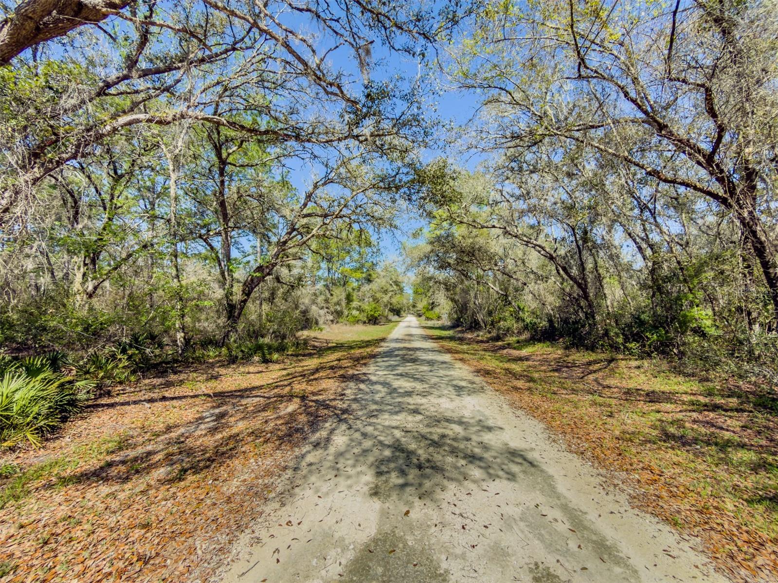 7252 SONIA AVE, WEBSTER, FL — photo 4