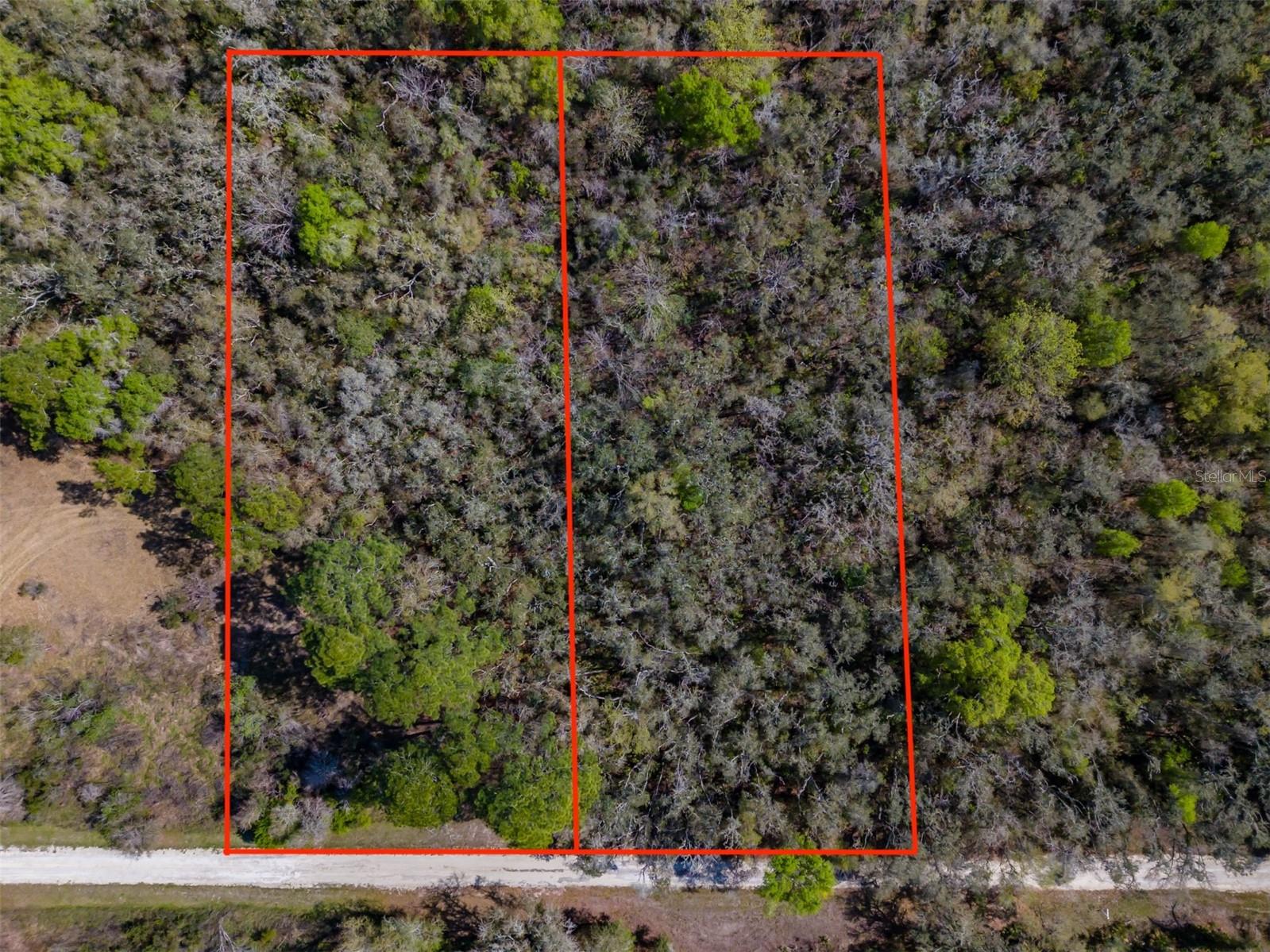 7252 SONIA AVE, WEBSTER, FL — photo 13