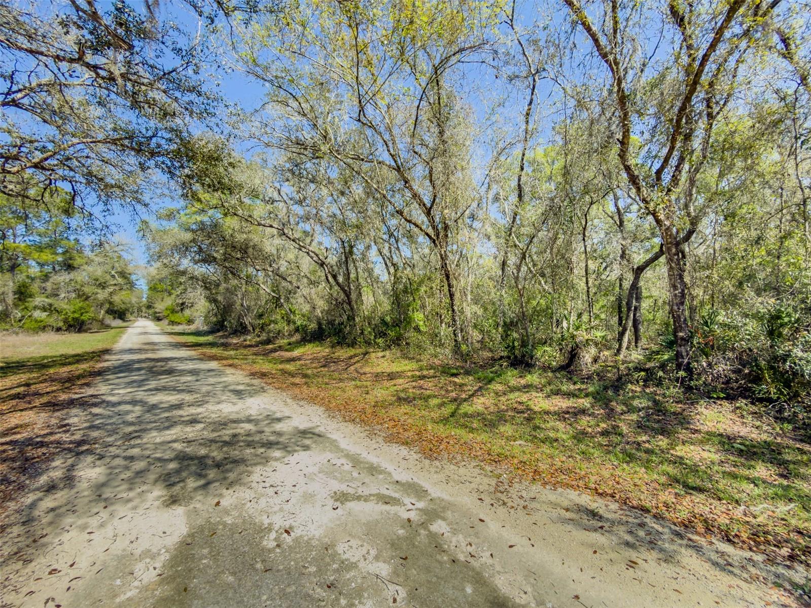 7252 SONIA AVE, WEBSTER, FL — photo 17