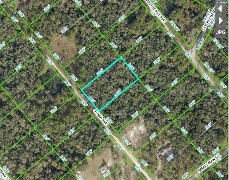 7252 SONIA AVE, WEBSTER, FL — photo 19