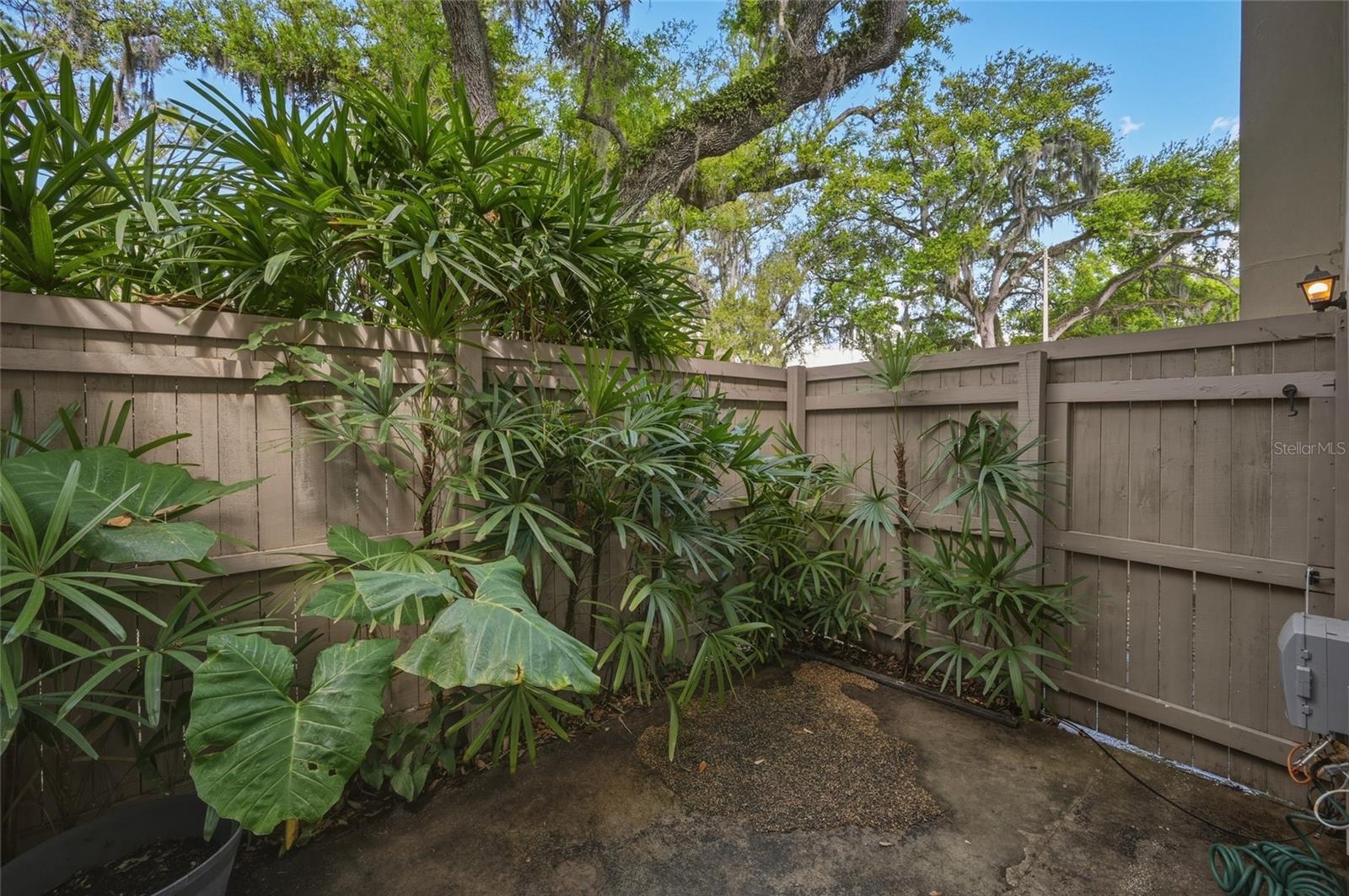 7912 CEDAR DR #7912, TEMPLE TERRACE, FL — photo 25