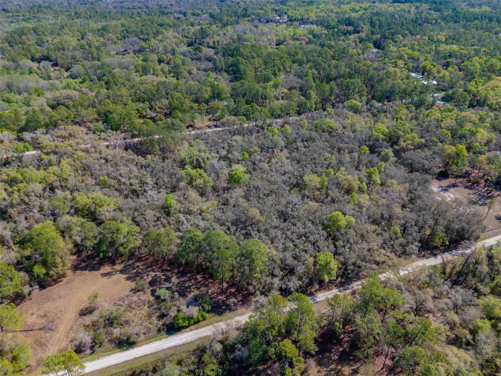7262 SONIA AVE, WEBSTER, FL
