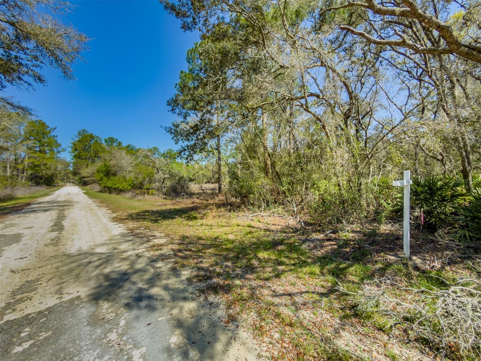 7262 SONIA AVE, WEBSTER, FL — photo 5