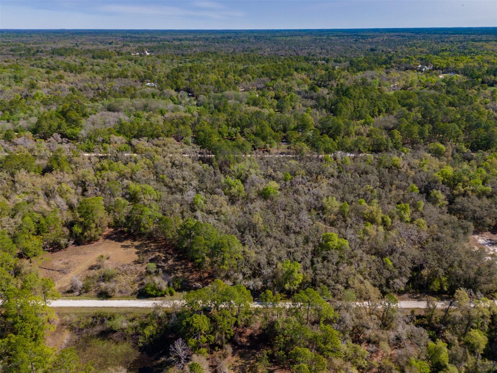 7262 SONIA AVE, WEBSTER, FL — photo 12
