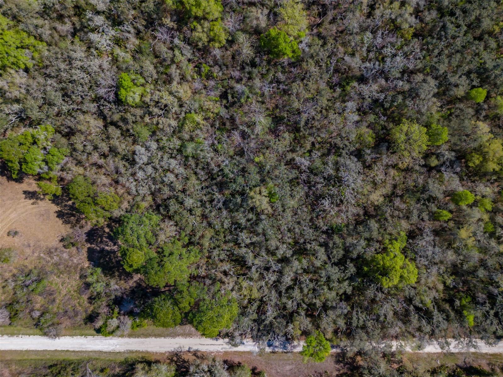 7262 SONIA AVE, WEBSTER, FL — photo 18