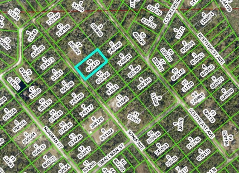 7262 SONIA AVE, WEBSTER, FL — photo 19