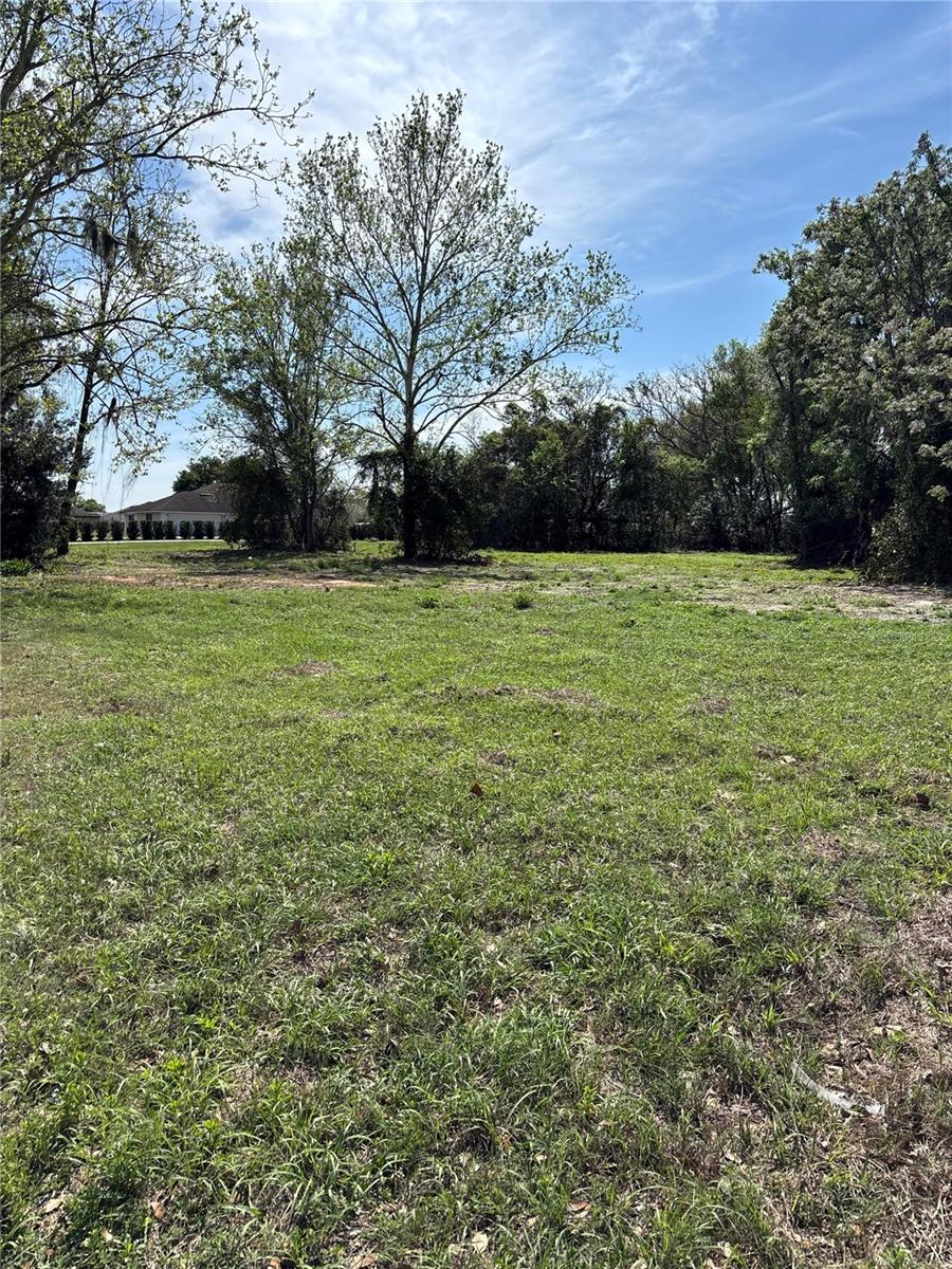 STATE ROAD 19, GROVELAND, FL