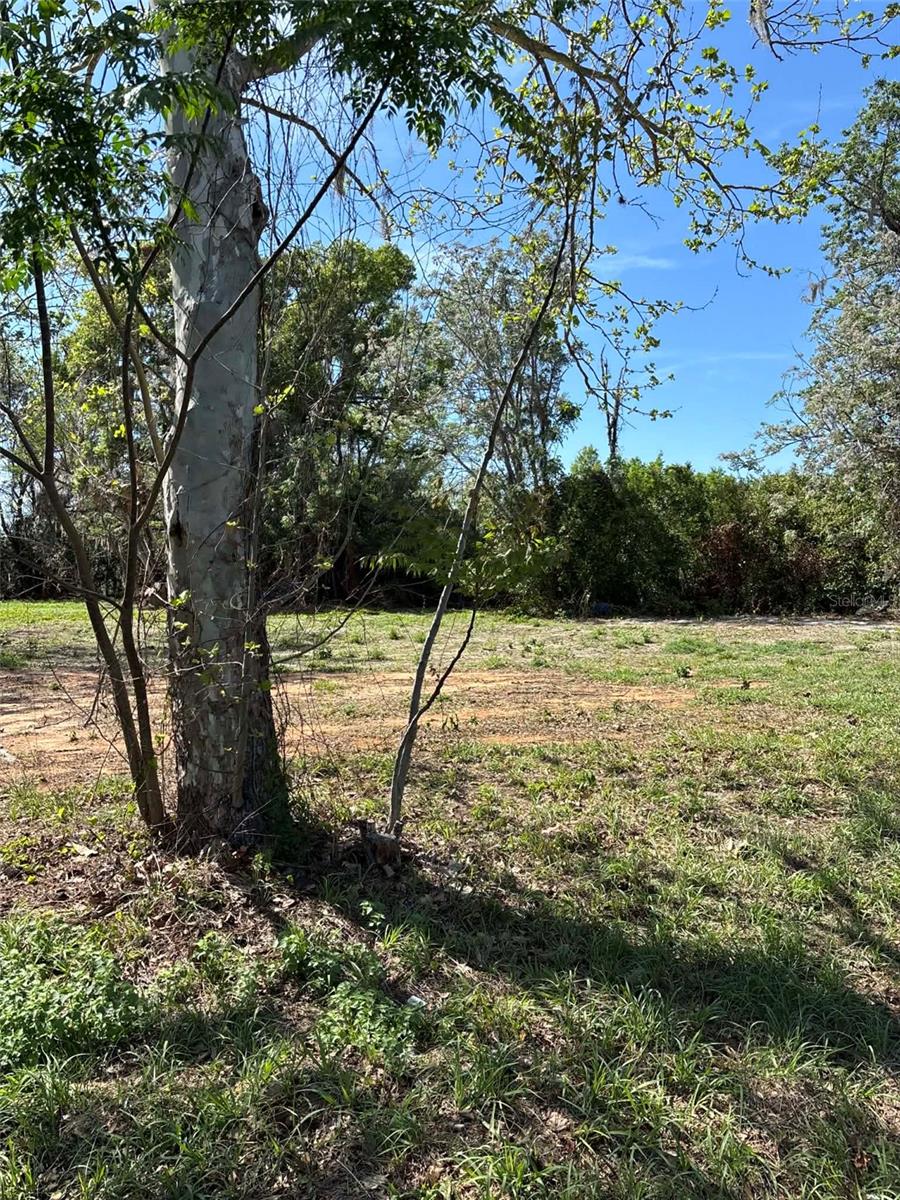 STATE ROAD 19, GROVELAND, FL — photo 11