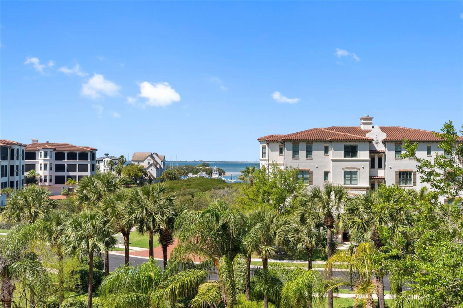5823 BOWEN DANIEL DR #401, TAMPA, FL — photo 10
